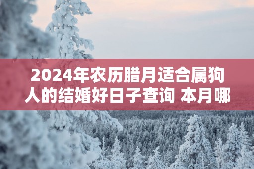 2025年农历腊月适合属狗人的结婚好日子查询 本月哪天适合出嫁