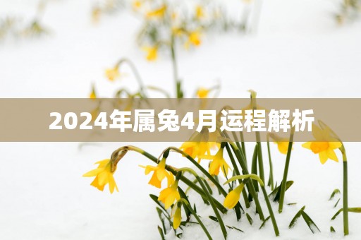 2024年属兔4月运程解析