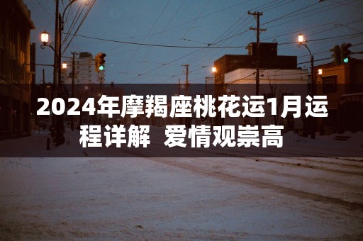 2025年摩羯座桃花运1月运程详解  爱情观崇高