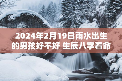 2025年2月19日雨水出生的男孩好不好 生辰八字看命