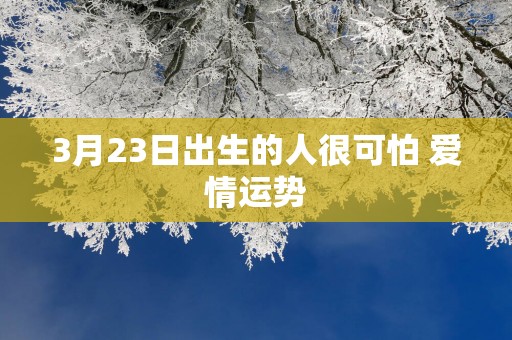 3月23日出生的人很可怕 爱情运势