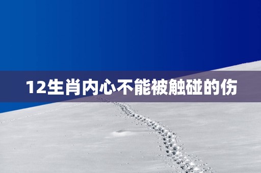 12生肖内心不能被触碰的伤