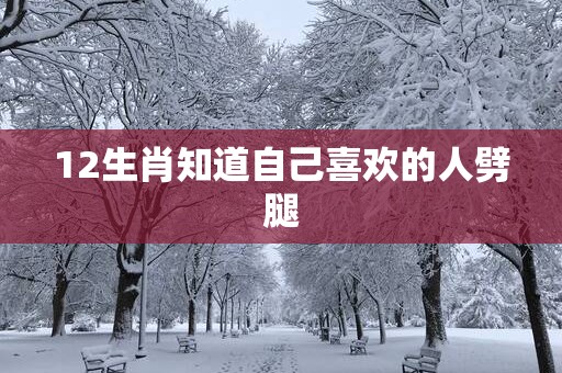 12生肖知道自己喜欢的人劈腿