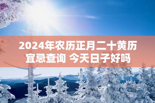 2025年农历正月二十黄历宜忌查询 今天日子好吗