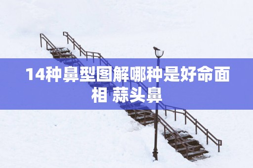 14种鼻型图解哪种是好命面相 蒜头鼻