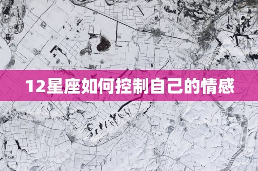 12星座如何控制自己的情感