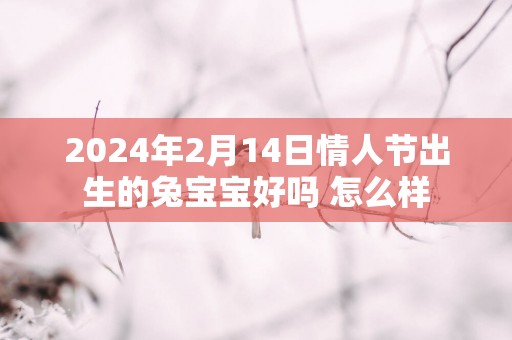 2025年2月14日情人节出生的兔宝宝好吗 怎么样