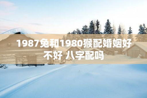1987兔和1980猴配婚姻好不好 八字配吗