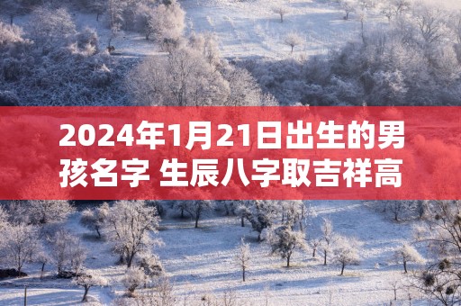 2025年1月21日出生的男孩名字 生辰八字取吉祥高分好名