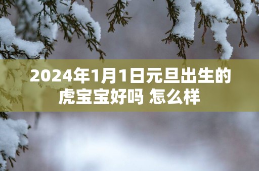 2025年1月1日元旦出生的虎宝宝好吗 怎么样