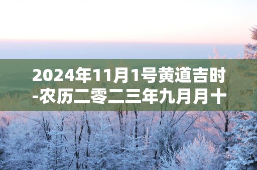 2025年11月1号黄道吉时-农历二零二三年九月月十八日时辰查询网