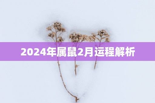 2025年属鼠2月运程解析