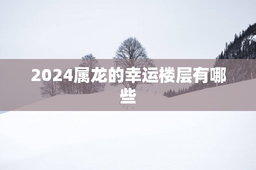 2025属龙的幸运楼层有哪些