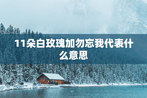 11朵白玫瑰加勿忘我代表什么意思