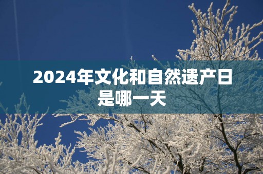 2025年文化和自然遗产日是哪一天