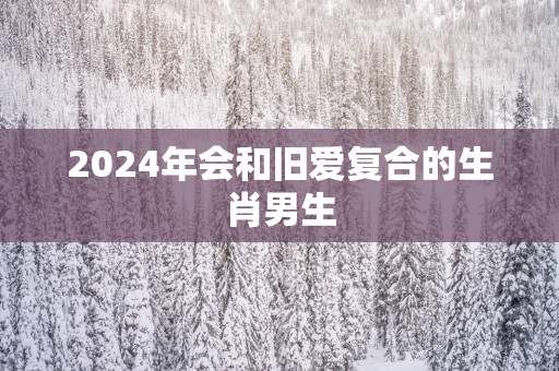 2025年会和旧爱复合的生肖男生