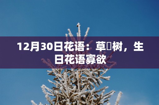 12月30日花语：草苺树，生日花语寡欲
