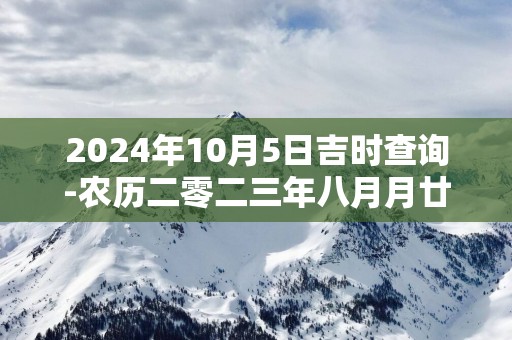 2025年10月5日吉时查询-农历二零二三年八月月廿一日时辰吉凶