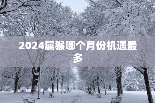 2025属猴哪个月份机遇最多