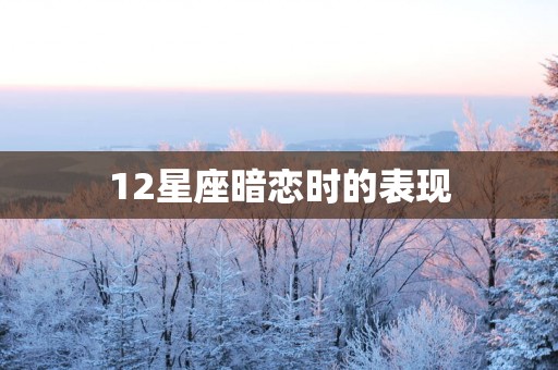 12星座暗恋时的表现