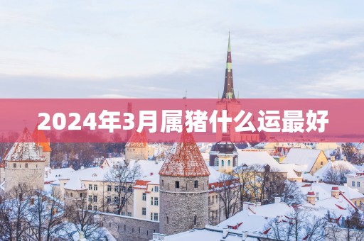 2025年3月属猪什么运最好