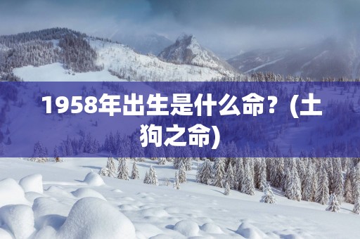 1958年出生是什么命？(土狗之命)