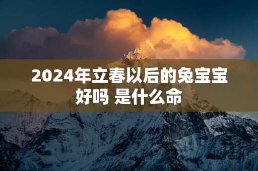 2025年立春以后的兔宝宝好吗 是什么命