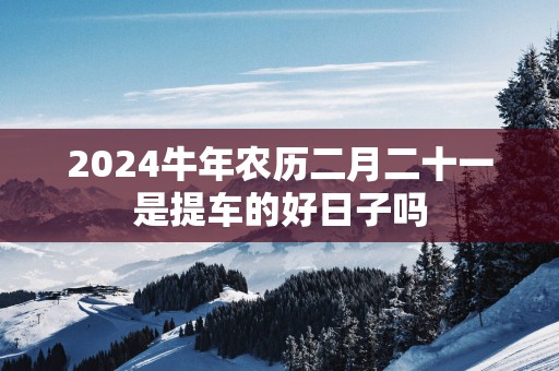2025蛇年农历二月二十一是提车的好日子吗