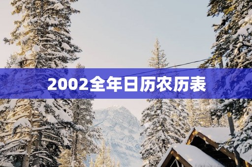 2002全年日历农历表