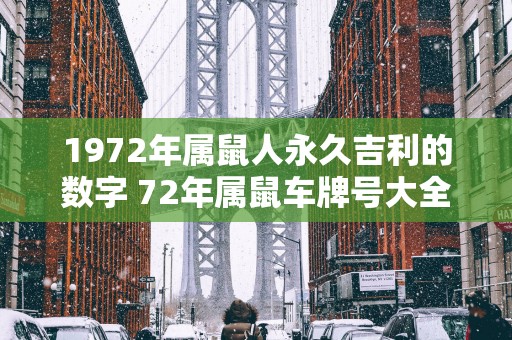 1972年属鼠人永久吉利的数字 72年属鼠车牌号大全