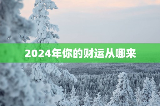 2024年你的财运从哪来