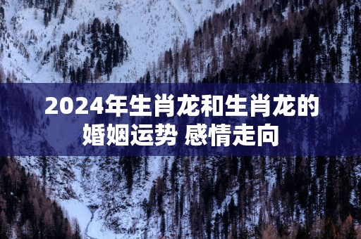 2025年生肖龙和生肖龙的婚姻运势 感情走向