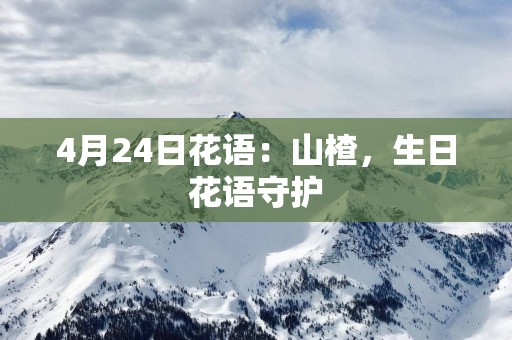 4月24日花语：山楂，生日花语守护