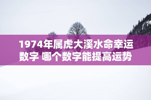 1974年属虎大溪水命幸运数字 哪个数字能提高运势