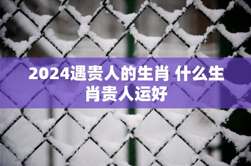 2025遇贵人的生肖 什么生肖贵人运好