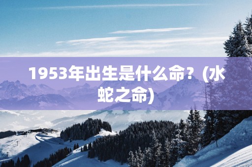 1953年出生是什么命？(水蛇之命)