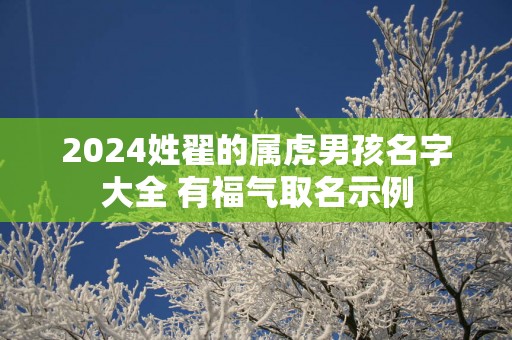 2024姓翟的属虎男孩名字大全 有福气取名示例