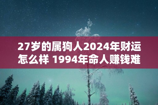 27岁的属狗人2024年财运怎么样 1994年命人赚钱难