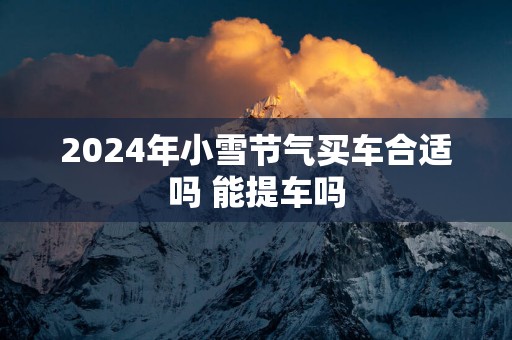 2025年小雪节气买车合适吗 能提车吗