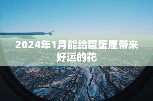 2025年1月能给巨蟹座带来好运的花