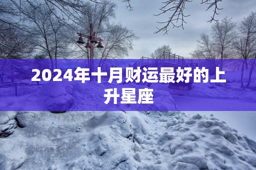 2025年十月财运最好的上升星座