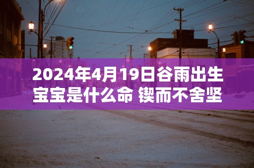 2025年4月19日谷雨出生宝宝是什么命 锲而不舍坚持不懈