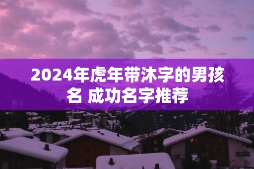 2025年蛇年带沐字的男孩名 成功名字推荐