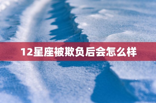 12星座被欺负后会怎么样