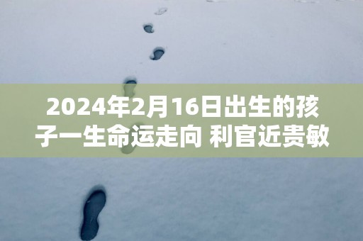 2025年2月16日出生的孩子一生命运走向 利官近贵敏捷聪明