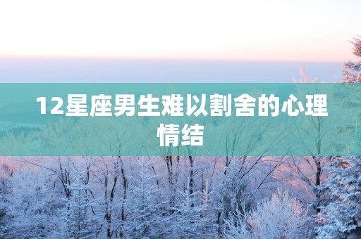 12星座男生难以割舍的心理情结