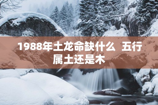 1988年土龙命缺什么  五行属土还是木