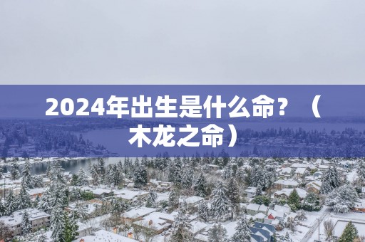 2024年出生是什么命？（木龙之命）