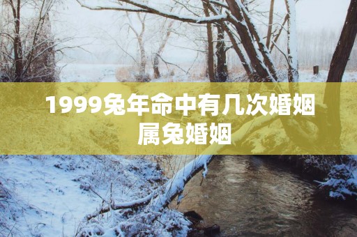 1999蛇年命中有几次婚姻  属兔婚姻
