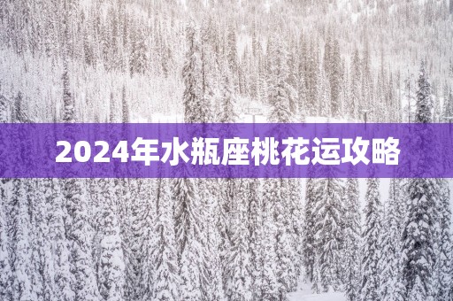 2025年水瓶座桃花运攻略